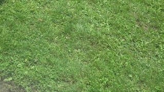 Twink boy cumming in front of the window while almost blowing his load prematurely =p