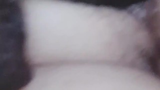 Gemini opens Libras ass