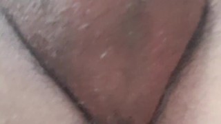 Paja mostrando testiculos