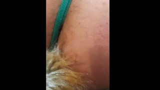 puppy play - oso se comporta como una zorra en celo