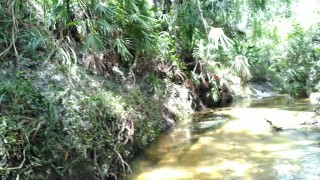 Real Public Sex On Spring Break In The Middle Of The Woods In Popular Creek