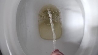 Uncut Teen Boy Pisses Into Toliet