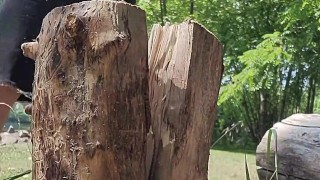 Shirtless Chubby Daddy Chops Wood For Your Fire