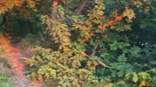 andkvcat подрочил в шалаше на речке