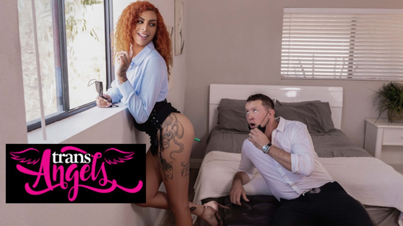 TRANS ANGELS - Petite Rubi Maxim convida sedutoramente Pierce Paris para  lamber seu rabo apertado