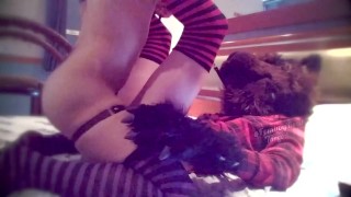 Moany Shy Murrsuiter Gets Filled