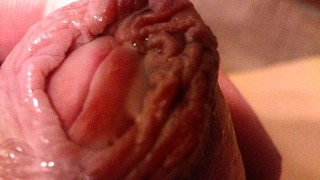 Marinated Foreskin Penis