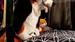 Horny pup humps his own paws