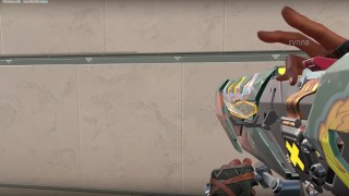 Polish Sage, Viper, Reyna, Killjoy, Skye, Raze ryona - Valorant