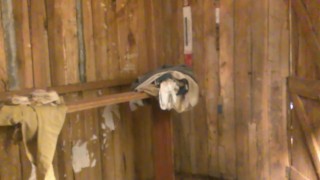 ZOMBIE WITH BIG DICK CAUGHT ON CAMERA