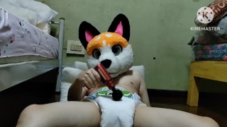 Diaper furry time.