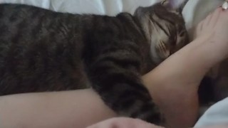 Pussy Cat Cuddling With Sexy Legs and Feet