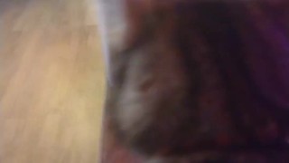 Two Kittens Are So Cute and Adorable