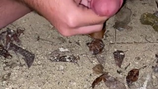 Pissing and quick jerk outside