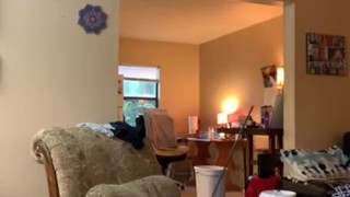 Naked Cleaning Service