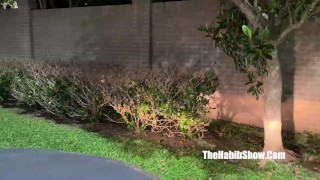 pimpin in ah bonnet dont know what to expect from ambitious booty getting crunk