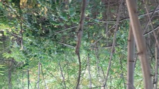 She licks my unshaven pussy in piss - Lesbian_illusion