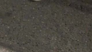 HUSBAND PULLS THE CAR OVER TO WATCH WIFE SUCK OFF A STRANGER THROUGH THE WINDOW