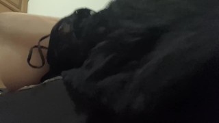 Je baise ma meuf a gros seins