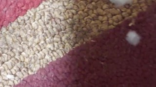 Yesterday Cumshot... Sunday