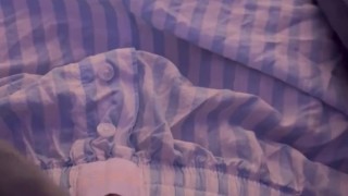 Take a peek (*´ω｀*)