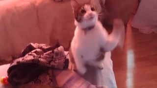 Girl playing with her kittens