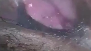 He's playing me ah ah ah ugh uh grrrr