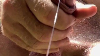 Just a squirt of precum in the sun