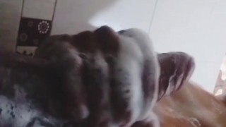 Bien espumosito😈💦🔥