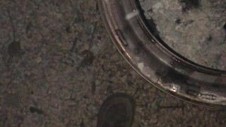 Putting out whats left of the campfire at the end of the night by taking a piss before bed