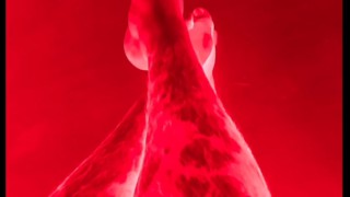 Would you like to have them for yourself???