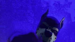 Puppy jacking off