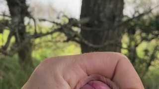 Massive load outdoor Dutch dunes