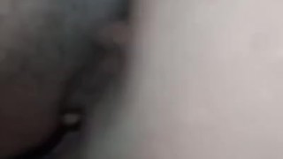 Chupando concha pelada y culo casero