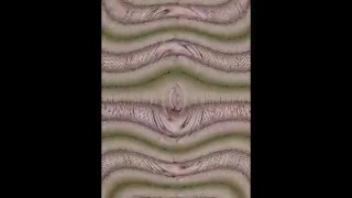 nickyloves in yellow netting