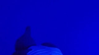 Late Night Anal 💕💕