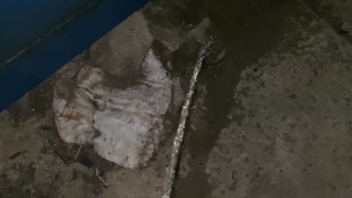 Wishing you were under my stream 😩