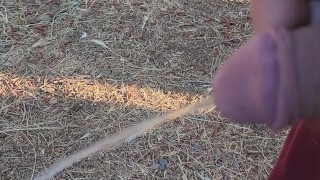 Pissing outside