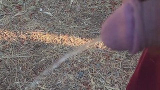 Pissing outside