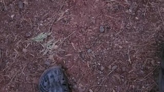 Quick morning cum in the woods