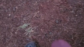 Quick morning cum in the woods