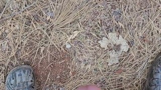 Short jerk and cum in woods