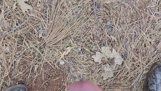 Short jerk and cum in woods