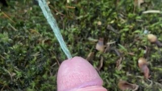 Pissing