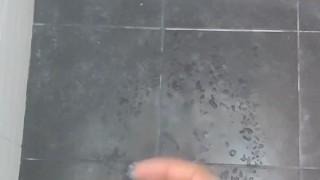 Pajaenladucha