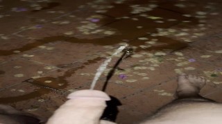 Walking piss all over my patio. Felt amazing and turned me on so much.