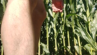 Show my ass And cock