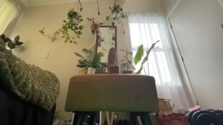 Lights Camera Ass