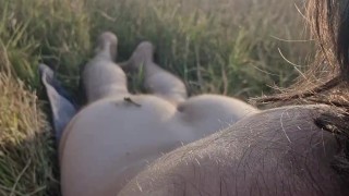 dragonfly lands on my bum