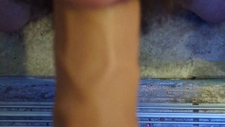 Bear sucks BBC